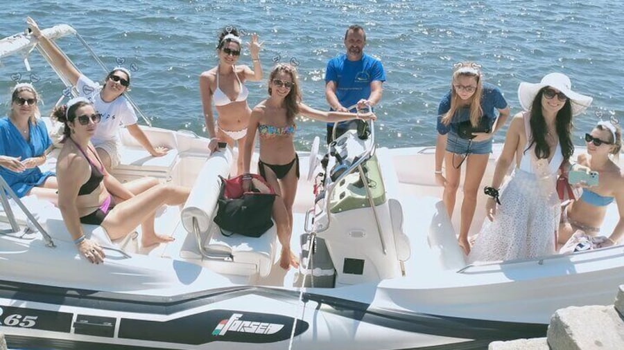Dolphin Watching Excursion on the Island of Figarolo