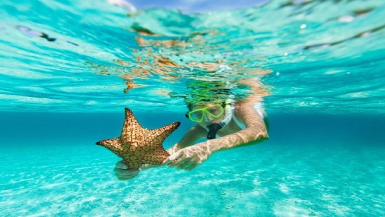 Discover the Wonders of Fort Walton Beach Snorkeling