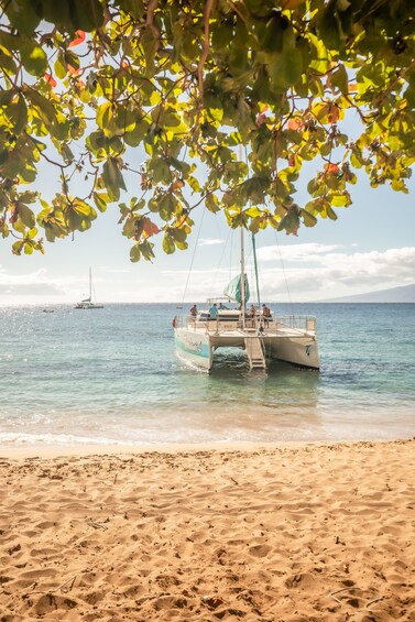 Ka'anapali: Sunset Cocktail Sail w/ Open Bar - Beach Loading Catamaran