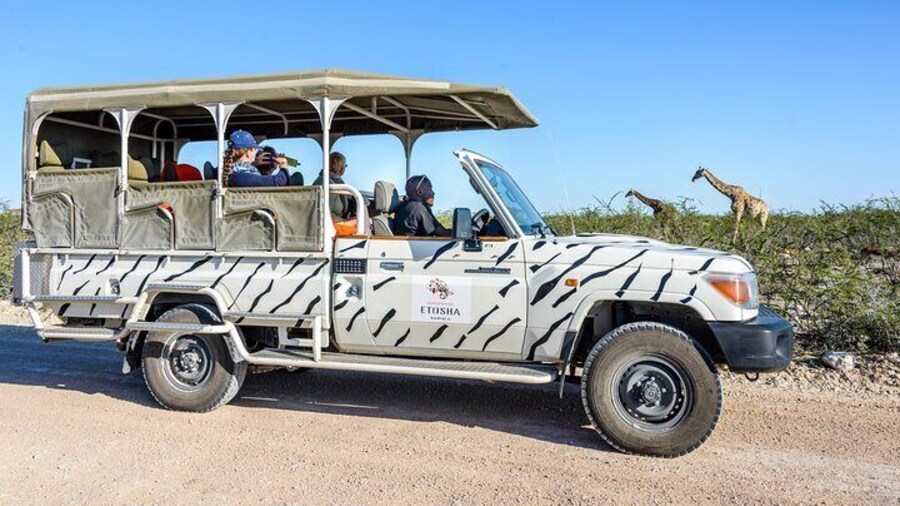 Etosha National Park Safari