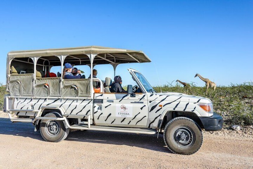 Etosha National Park Safari
