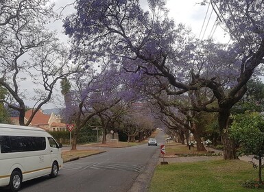 From Johannesburg Airport: 1-Way Transfer with Pretoria Tour