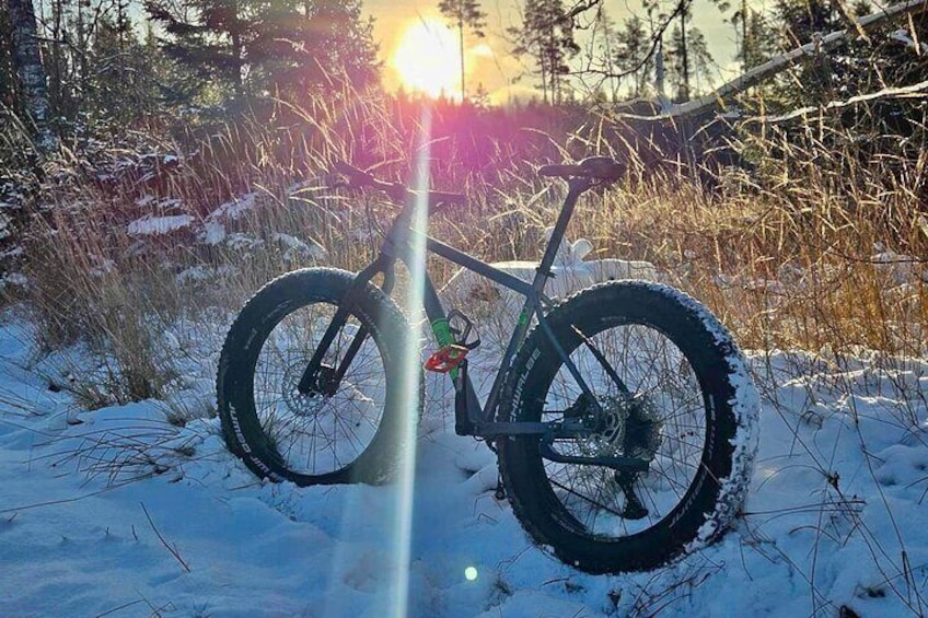 Stockholm Fat Bike Forest Adventure with Lunch and Sauna