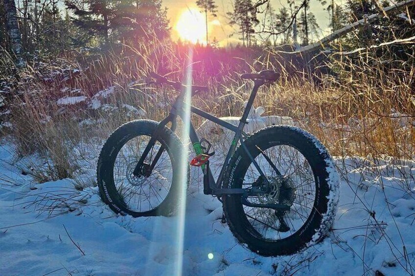 Stockholm Fat Bike Forest Adventure with Lunch and Sauna