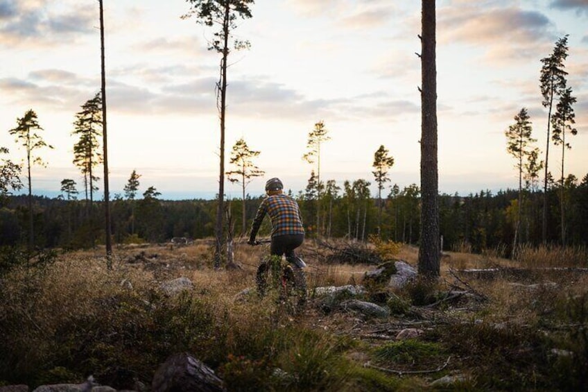 Stockholm Fat Bike Forest Adventure with Lunch and Sauna