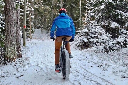 Stockholm Fat Bike Forest Adventure with Lunch and Sauna