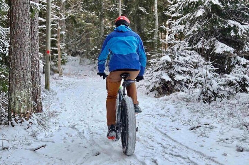 Stockholm Fat Bike Forest Adventure with Lunch and Sauna