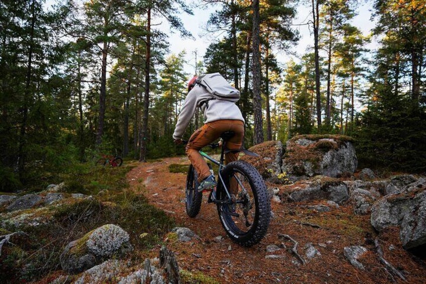 Stockholm Fat Bike Forest Adventure with Lunch and Sauna