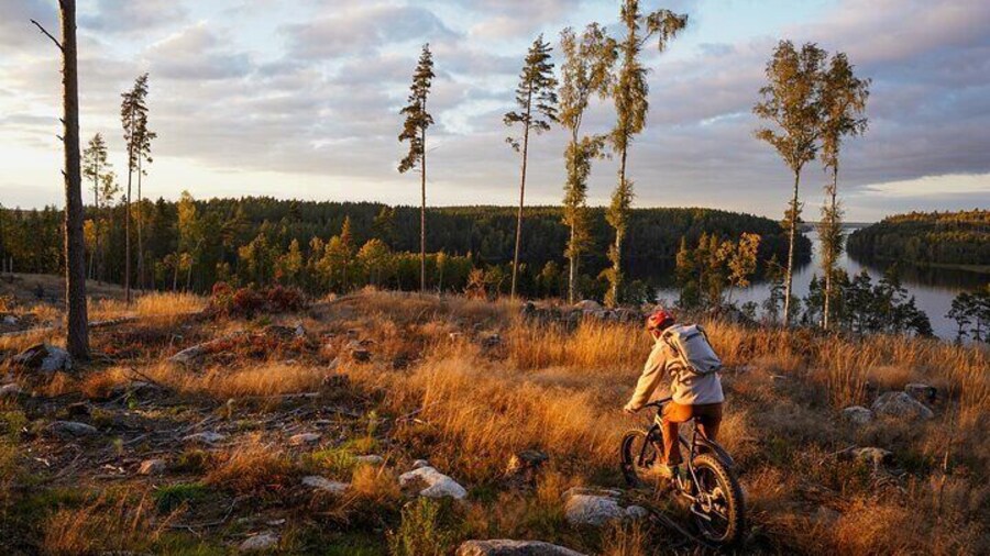 Stockholm Fat Bike Forest Adventure with Lunch and Sauna