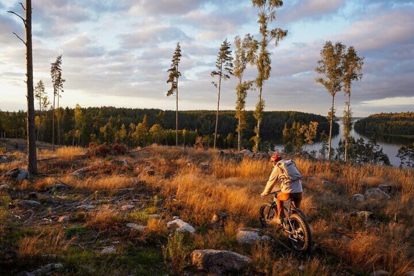 Stockholm Fat Bike Forest Adventure with Lunch and Sauna