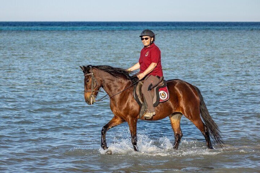 3 Hours Luxury Horse Riding Experience in Hurghada