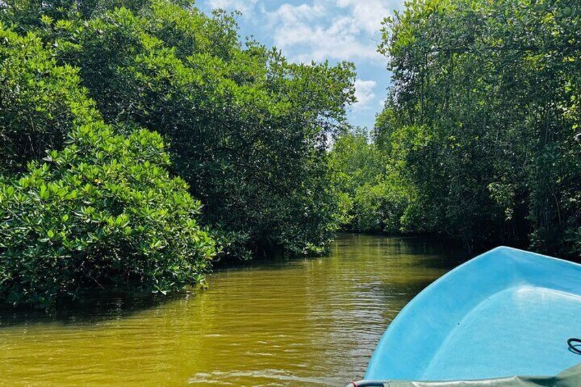 Madu River