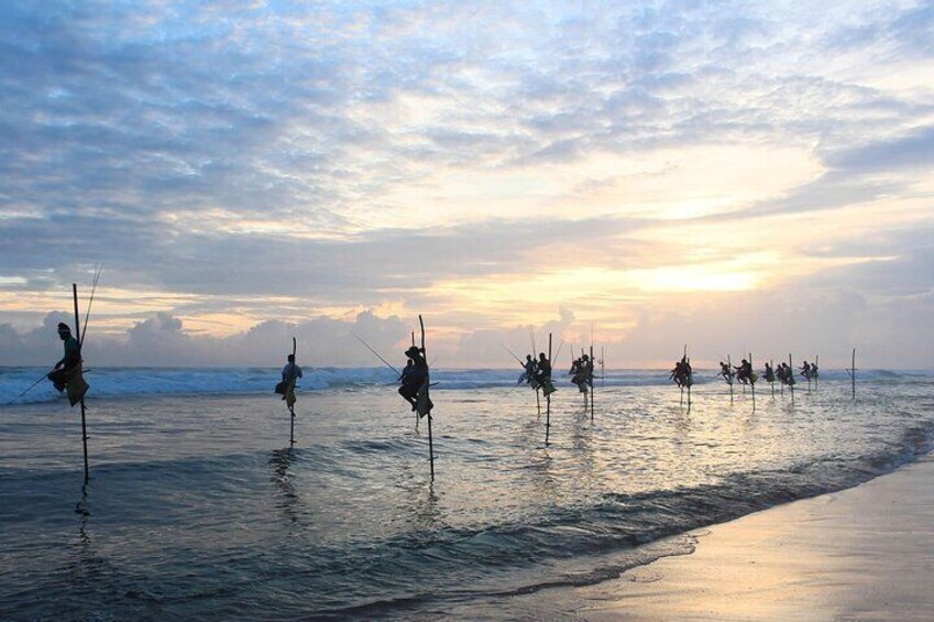 Stilt Fishermen's Koggala Sri Lanka