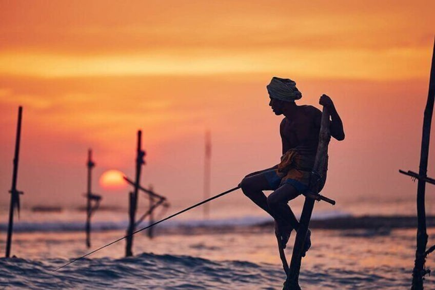 Stilt Fishermen's Koggala Sri Lanka