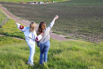 Sunset Hike and Vineyard Tour in Paso Robles