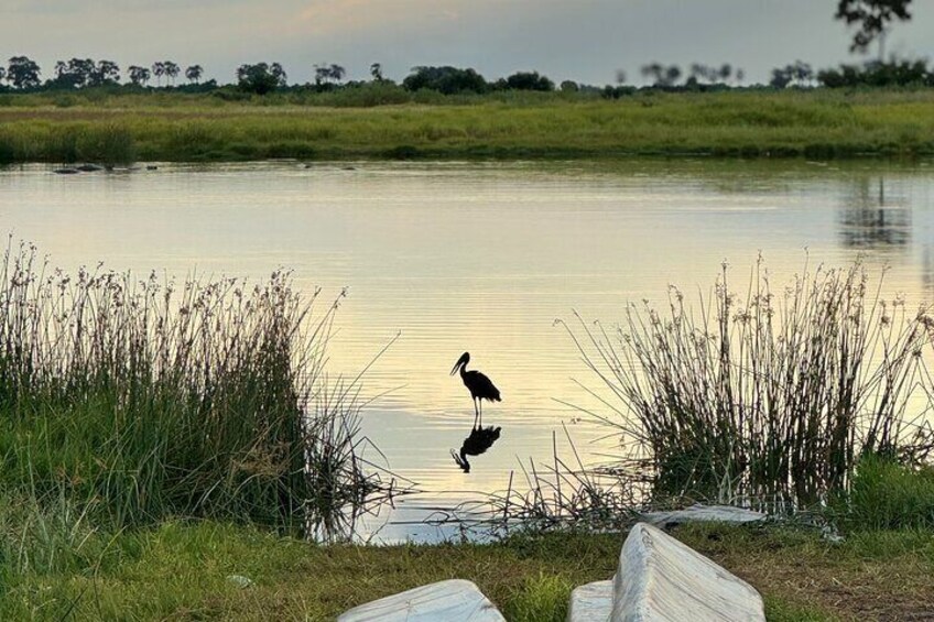 Overnight Mokoro Experience in the Okavango Delta 