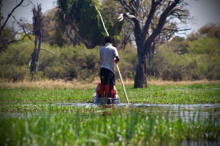 Overnight Mokoro Experience in the Okavango Delta 