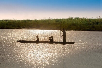 Overnight Mokoro Experience in the Okavango Delta