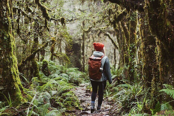 Enjoy a guided hike to Fiordland's Hidden Gem - Lake Marian