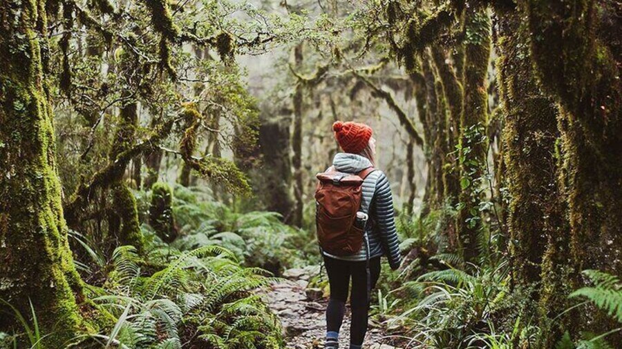 Enjoy a guided hike to Fiordland's Hidden Gem - Lake Marian