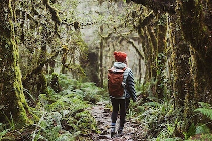 Lake Marian Guided Hike with Transfers, Lunch & Morning Tea