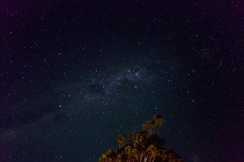 Gold Coast Glow Worm Night Tour With Chinese Speaking Guide