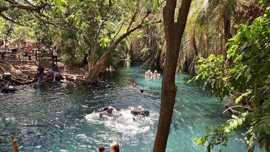 Kikuletwa Chemka Hot Springs Bicycle or Tuk Tuk Day Trip