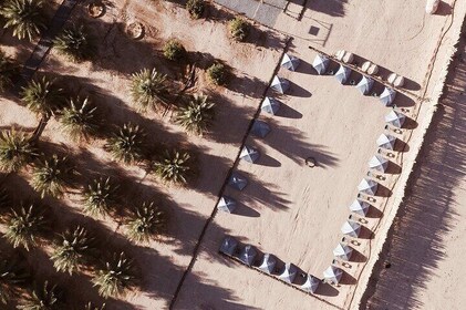 Camping in Pangaea's AlUla Centre