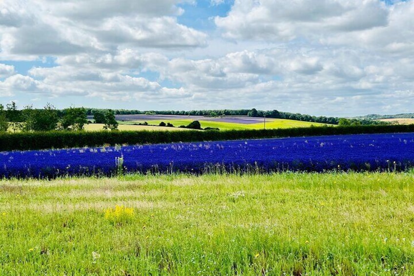 Guided Cotswolds Tour