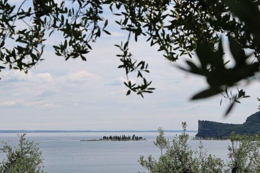 Olive Oil Tasting with Local Food on Lake Garda Hills