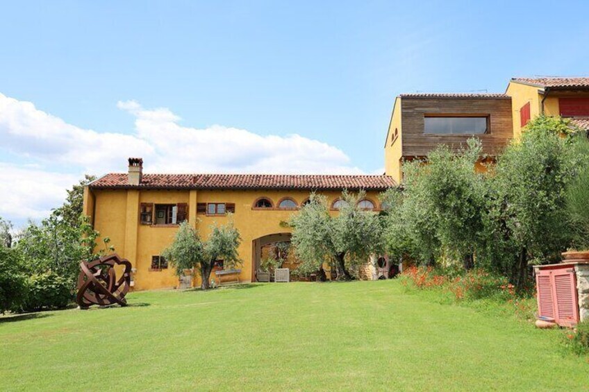 Olive Oil Tasting with Local Food on Lake Garda Hills