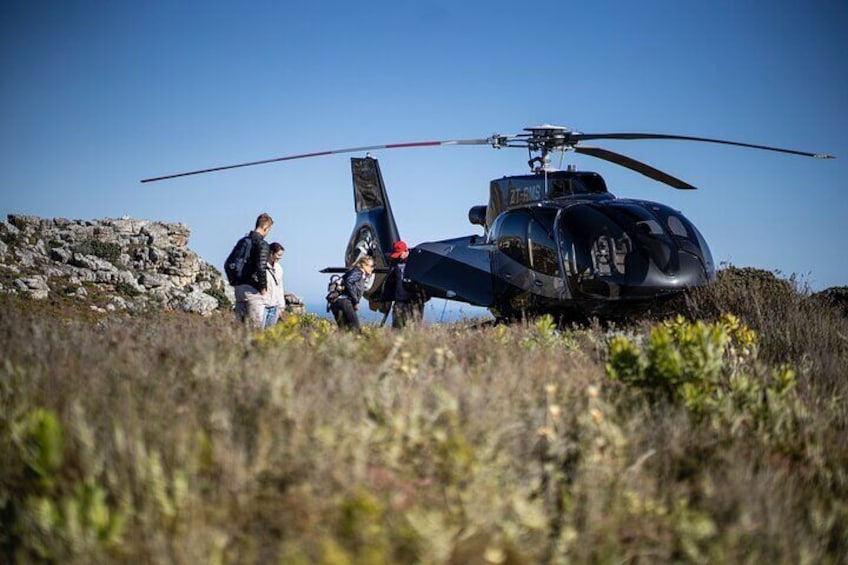 Private Guided Fynbos Mountain Gourmet Picnic in Cape Town