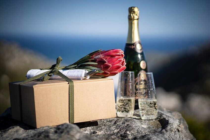 Private Guided Fynbos Mountain Gourmet Picnic in Cape Town