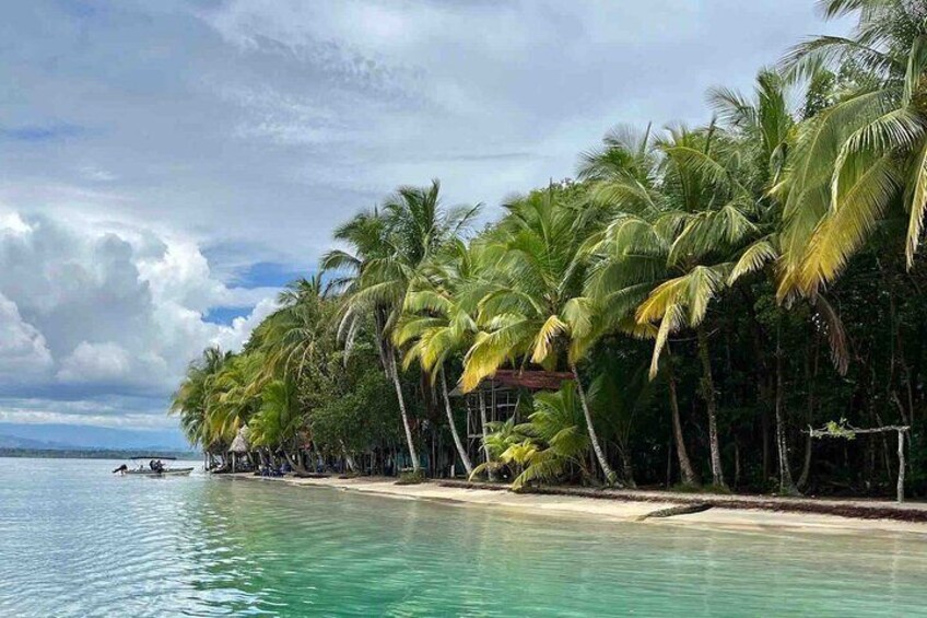 Isla Colon Tour to Bird Island, Boca del Drago and Starfish Beach