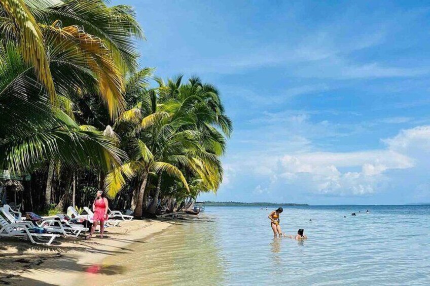 Isla Colon Tour to Bird Island, Boca del Drago and Starfish Beach