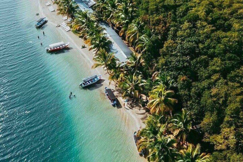 Isla Colon Tour to Bird Island, Boca del Drago and Starfish Beach