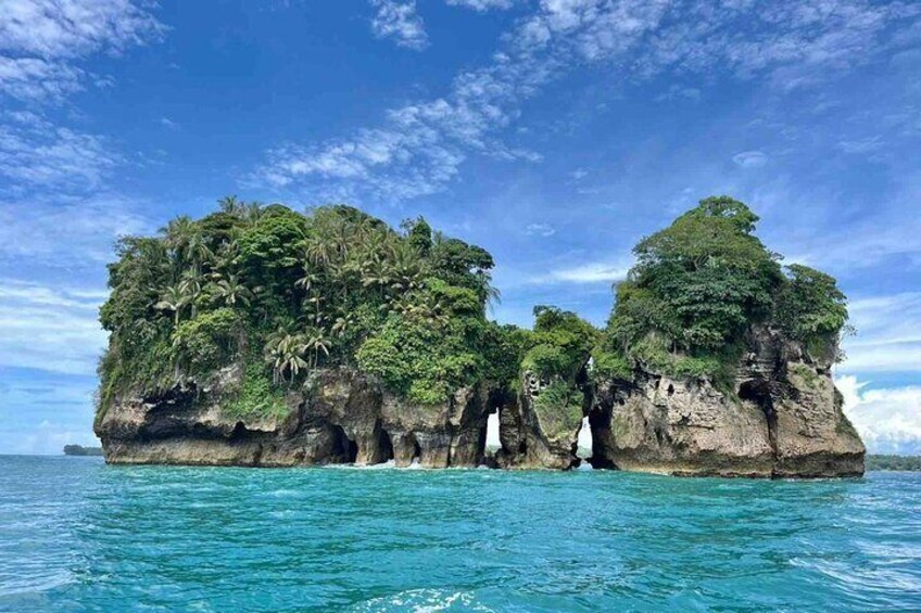 Isla Colon Tour to Bird Island, Boca del Drago and Starfish Beach