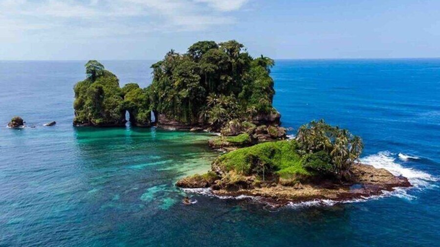 Isla Colon Tour to Bird Island, Boca del Drago and Starfish Beach