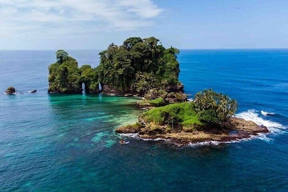 Isla Colon Tour to Bird Island, Boca del Drago and Starfish Beach