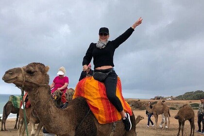 Tarifa/Aljeciras to Tangier Tour with ferry ticket & camel ride