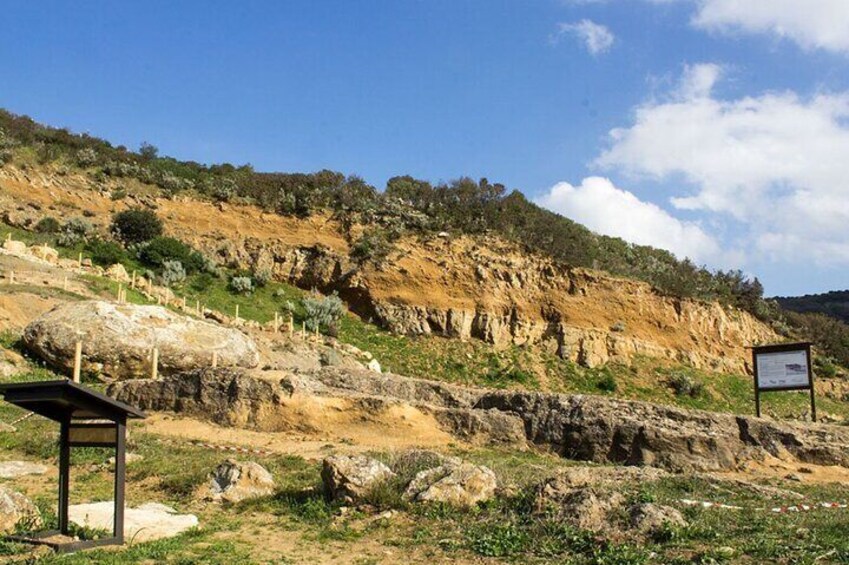 Genoni Guided Tour in Giara Park