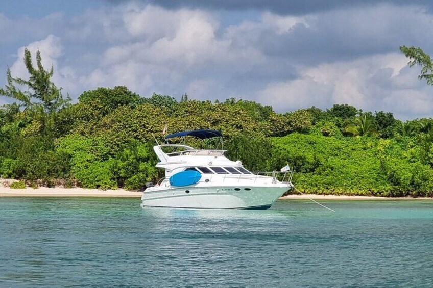 Escape to the Riviera Maya on a private yacht, enjoying stunning coastal views