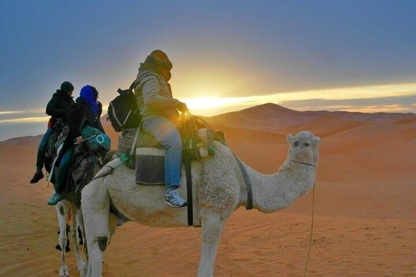 Camel Trekking in Merzouga