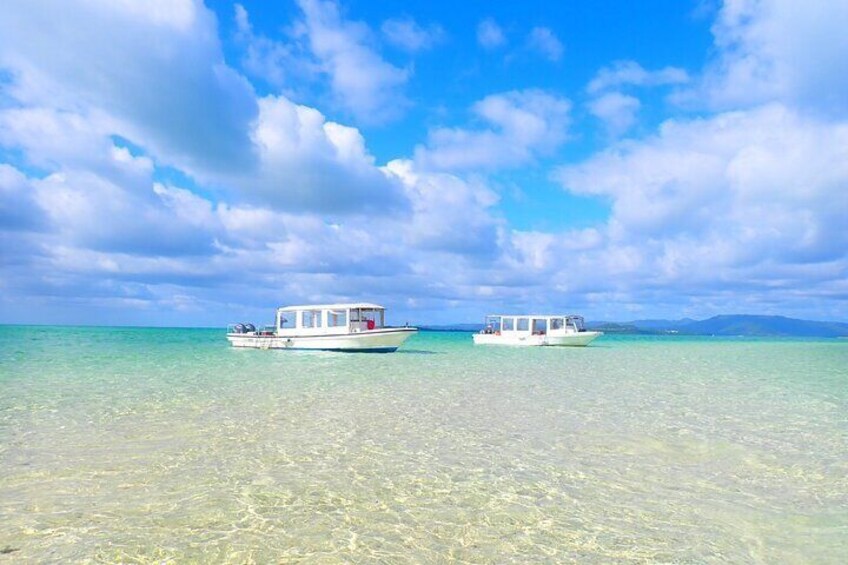 [Ishigaki]Phantom Island Snorkeling+ Taketomi Island Sightseeing