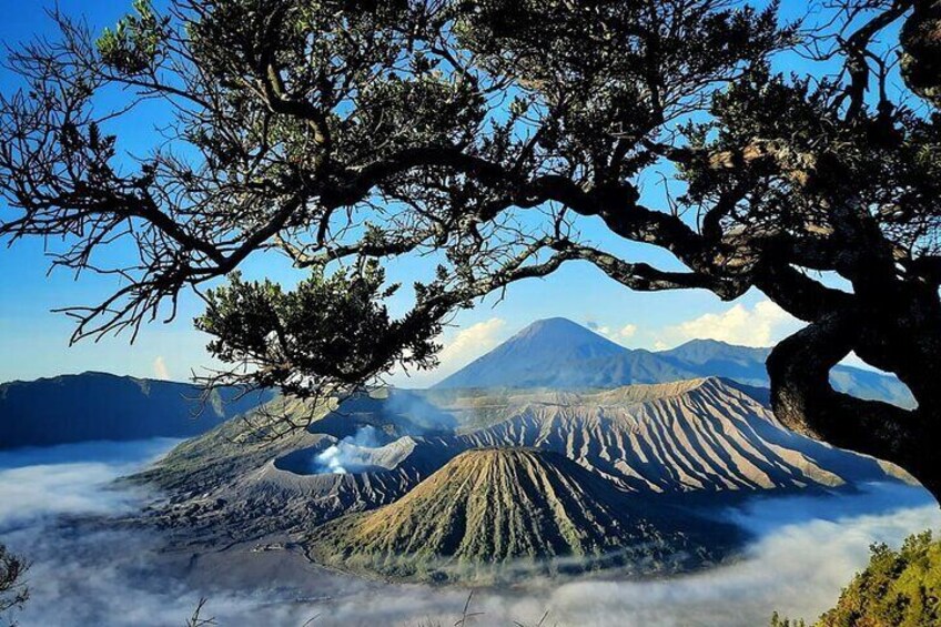 3 Days and 2 Nights in Bromo Madakaripura and Ijen Blue Fire Tour