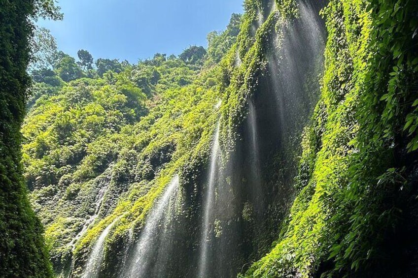 3 Days and 2 Nights in Bromo Madakaripura and Ijen Blue Fire Tour