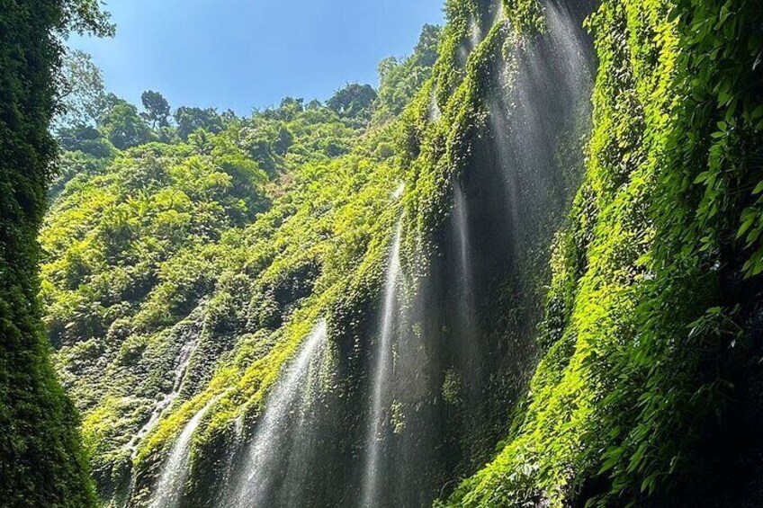 3 Days and 2 Nights in Bromo Madakaripura and Ijen Blue Fire Tour
