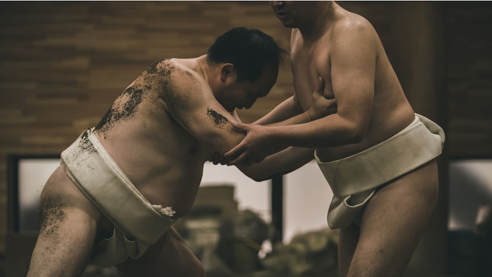 Book a Sumo Stable Practice Tour Tokyo – Watch Morning Sumo Training (Guide