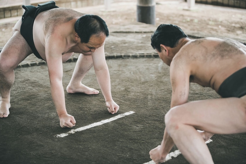 Tokyo: Watch Morning Sumo Training (Guide Optional) (2 hours / JP, EN)