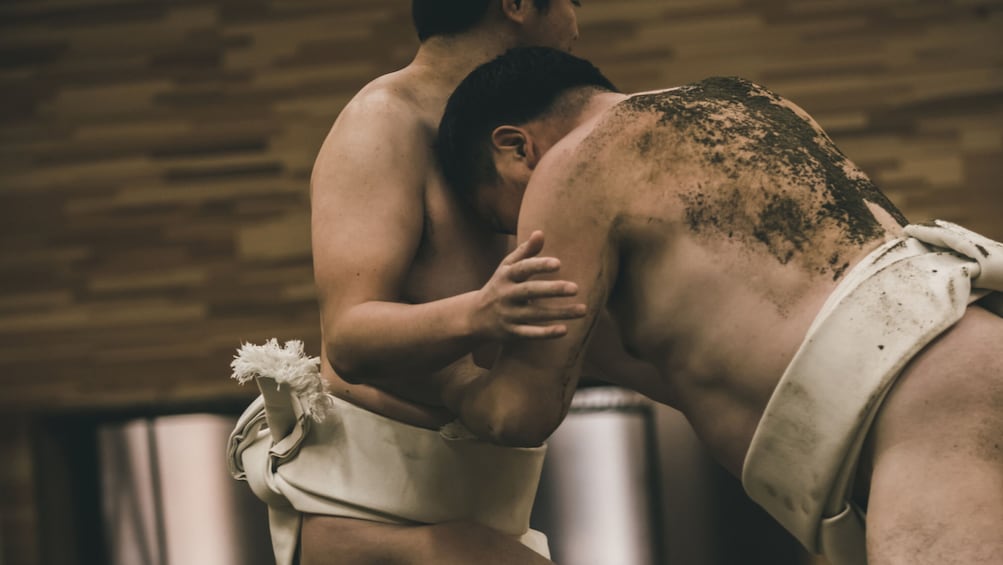 Book a Sumo Stable Practice Tour Tokyo – Watch Morning Sumo Training (Guide